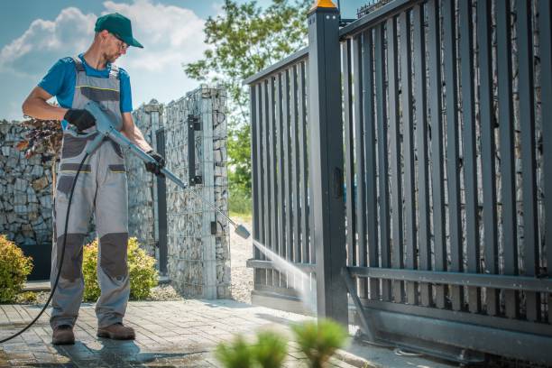 Best Sidewalk and Walkway Cleaning  in Stanton, MI