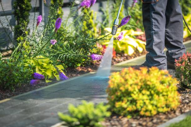 Best Patio and Deck Pressure Washing  in Stanton, MI