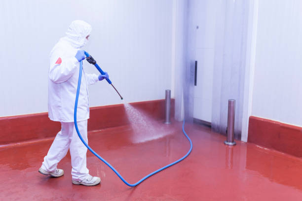 Best Dumpster Area Cleaning  in Stanton, MI