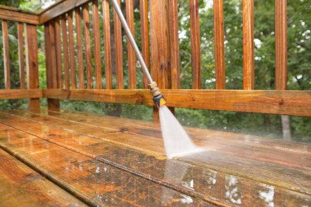 Best Pool Deck Cleaning  in Stanton, MI